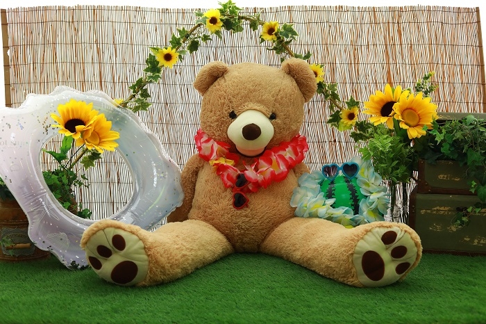 夏のひまわり撮影会