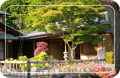 ● 日本庭園での趣ある青空撮影
