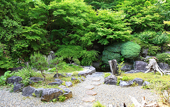 ● 日本庭園での趣ある青空撮影